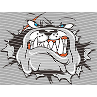 Cartoons and other-CO 1346